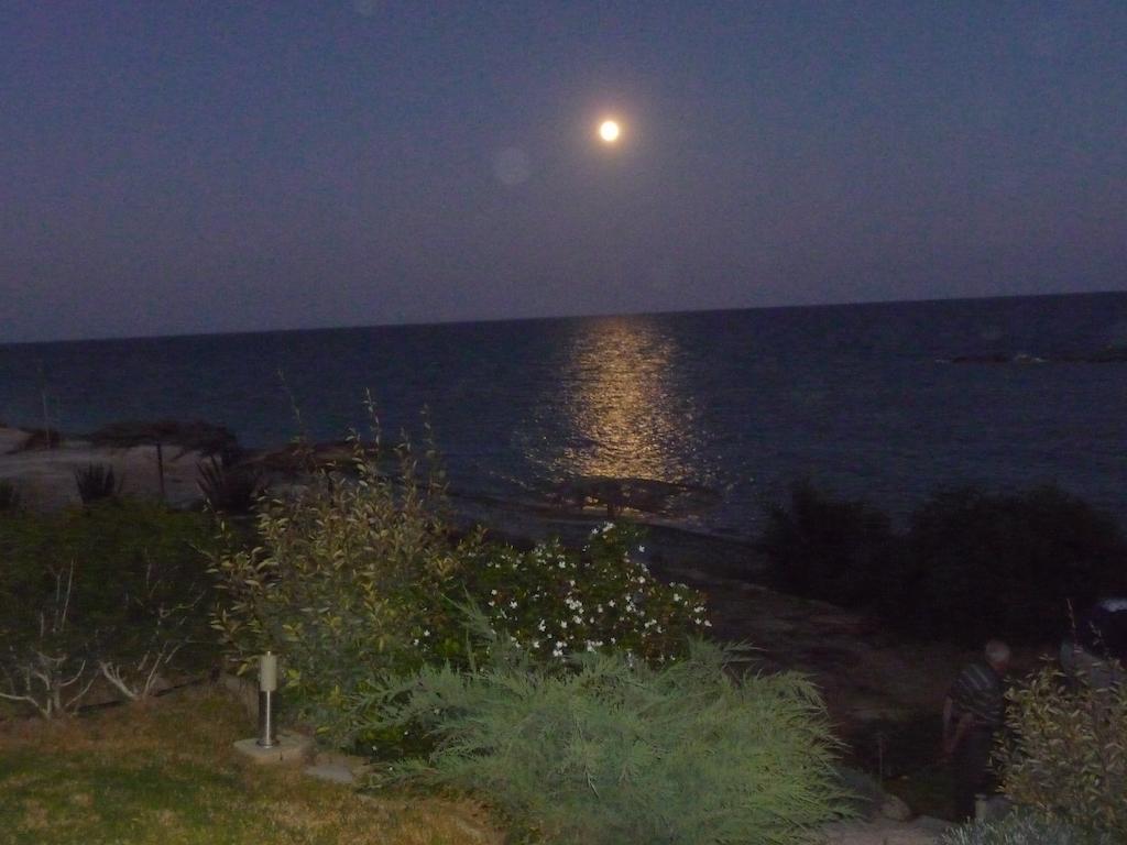 Zygi Beachfront Villa المظهر الخارجي الصورة