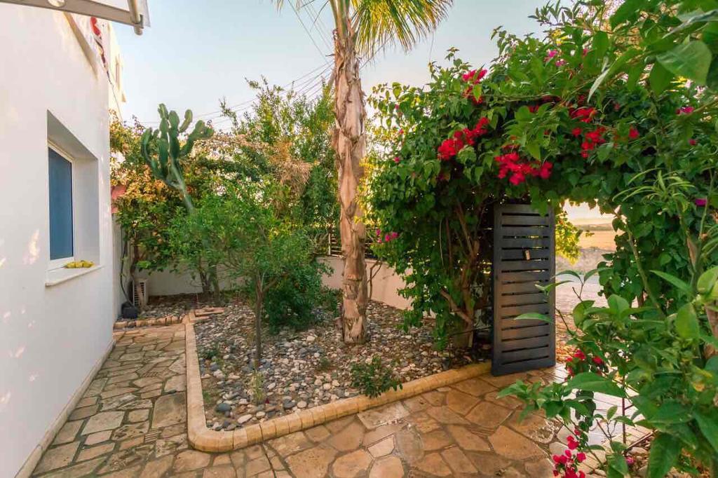 Zygi Beachfront Villa المظهر الخارجي الصورة